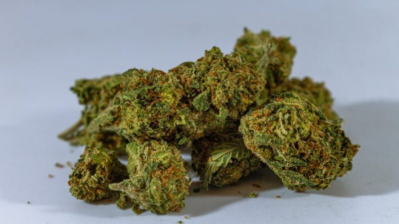 Приобретение семян конопли в Санкт-Петербурге через интернет-магазины