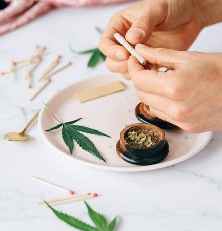 Марихуана в Ростове-на-Дону свойства и эффекты марихуаны правовой статус и способы приобретения