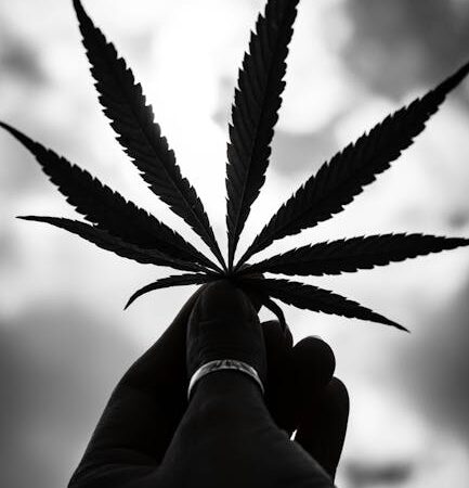 Свойства и преимущества сорта конопли CBD Kush от Dutch Passion Seeds