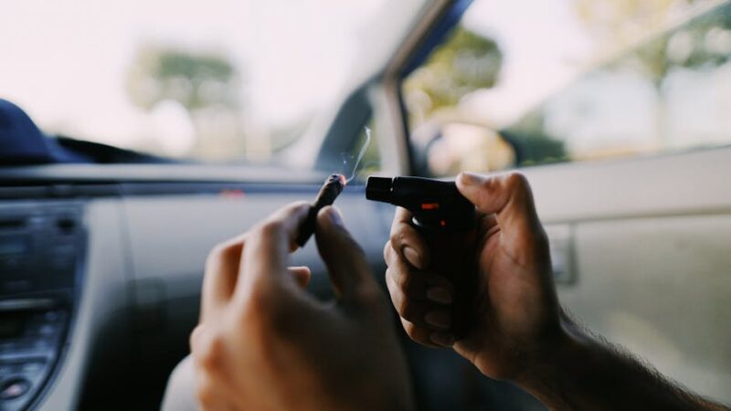 Различие в семенах конопли обзор ключевых аспектов