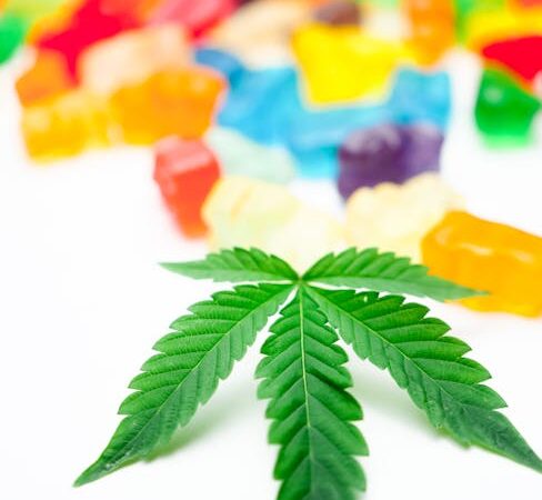 Гашиш свойства и правовые аспекты употребления