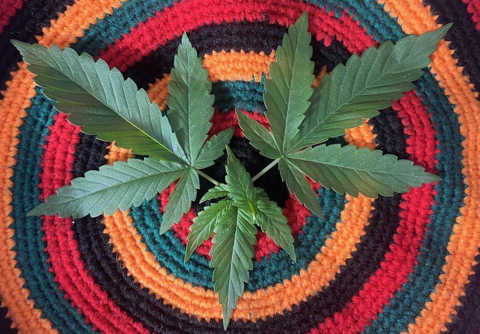 Конопля и ее производные продукты для курения и других целей