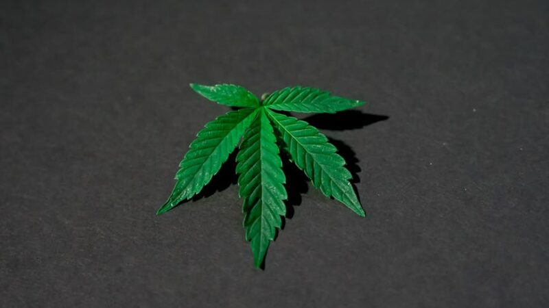 Как купить хорошую коноплю последовательный гид