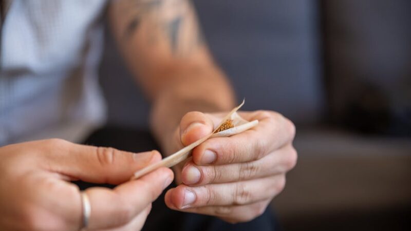 Выращивание марихуаны из семян и выбор подходящего сорта каннабиса