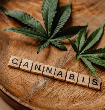 Купить семена конопли в Орле