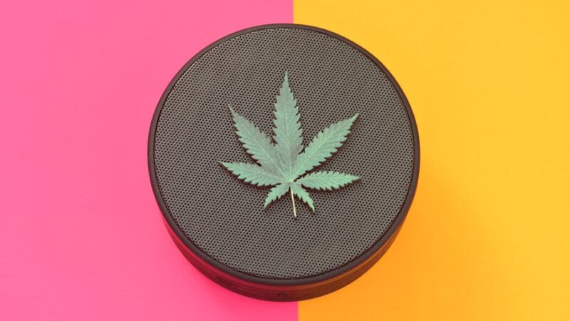 Продукты из конопли и их применение