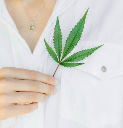 Купить семена конопли онлайн в России законно и безопасно