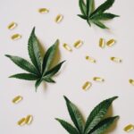 Химический состав семян конопли img-1595.jpg