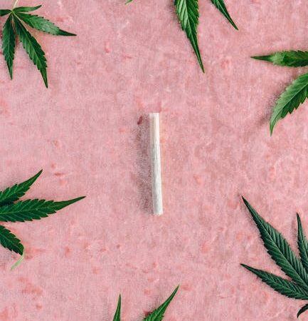 Купить семена конопли онлайн и их преимущества