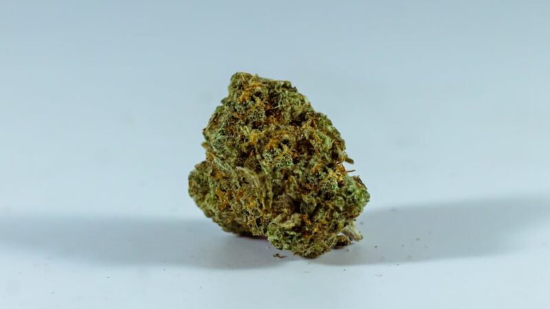 Семена марихуаны без запаха свойства и преимущества дискретной покупки