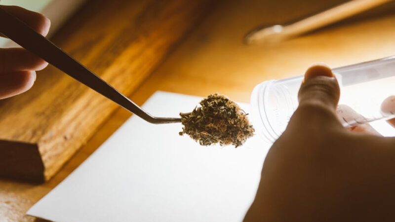 Преимущества использования крема для рук с коноплей и CBD