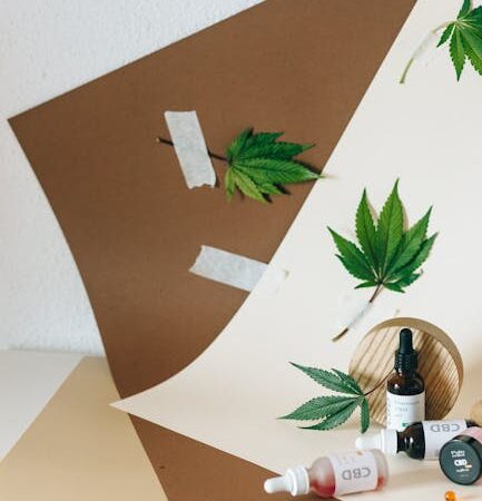 Проращивание семян конопли в домашних условиях