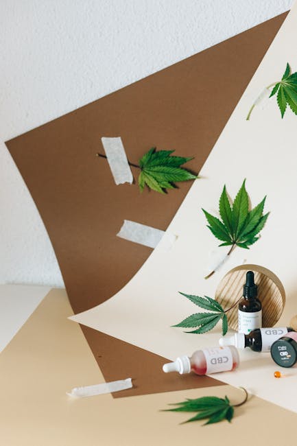 Проращивание семян конопли в домашних условиях