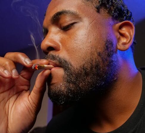 Свойства и виды семян конопли и преимущества покупки онлайн