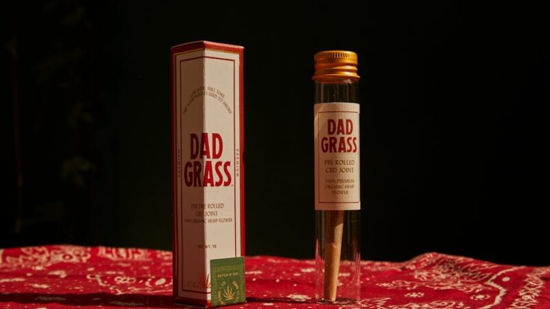 Kraken даркнет маркет и его особенности