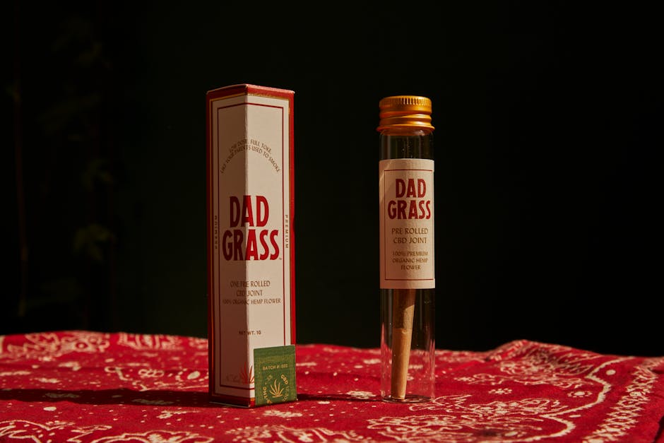 Kraken даркнет маркет и его особенности