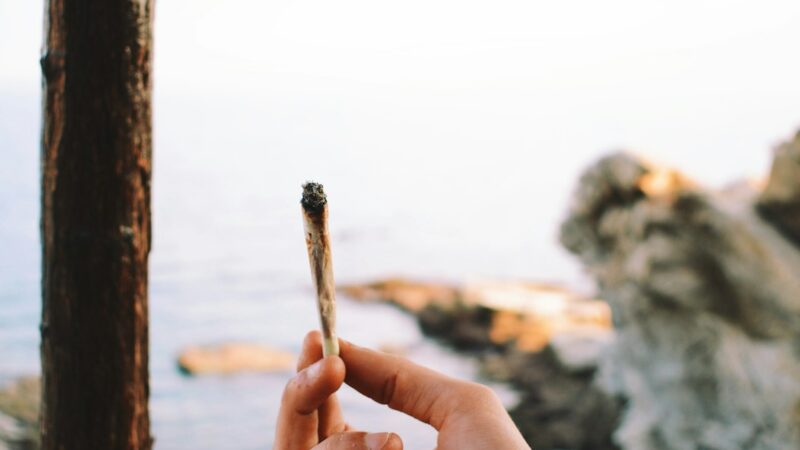 Каннабис и его использование