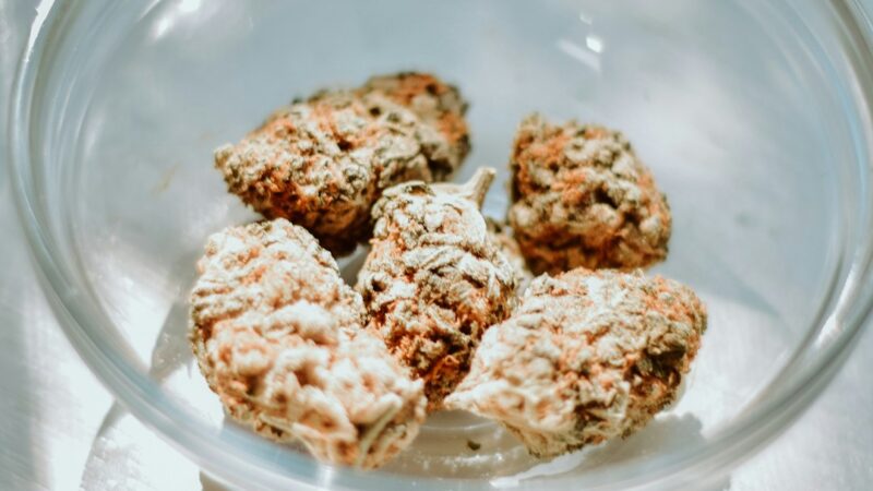 Кодеин содержащие препараты и правила их отпуска в аптеках Воронежа