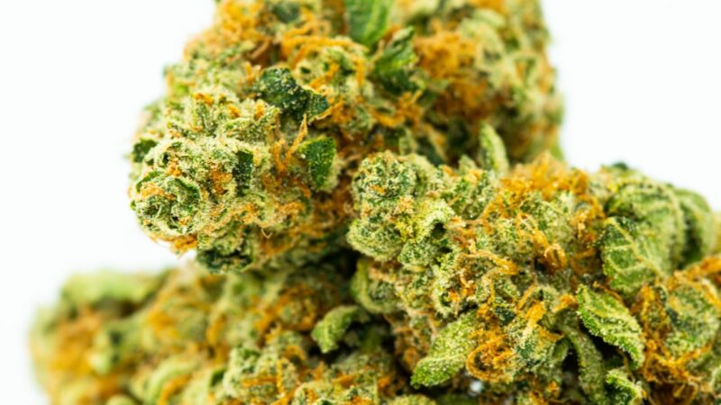 Можно ли курить семена марихуаны