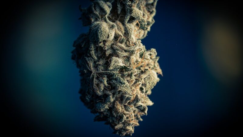 Ситуация с наркотиками в Тамбове