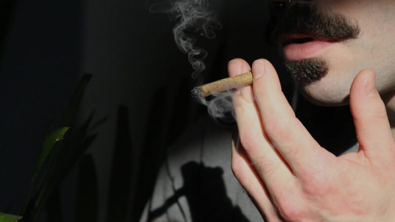 Покупка марихуаны онлайн и ее доставка почтой