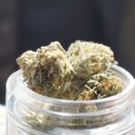 Покупка семян конопли в Воронеже: свойства и виды конопли img-2335.jpg