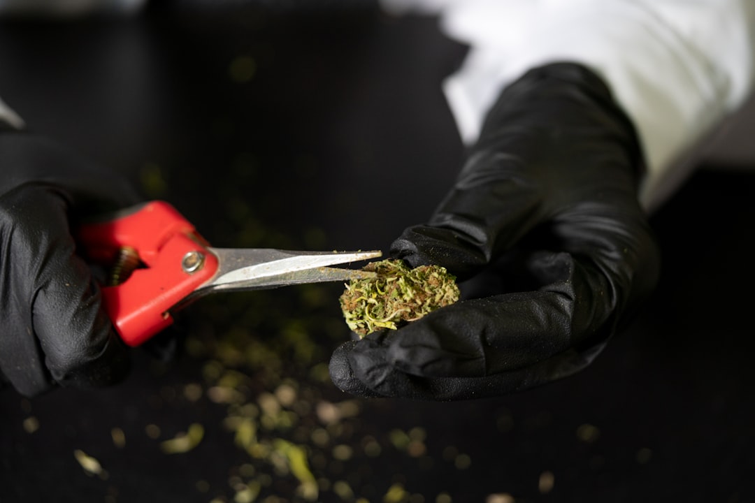 Свойства и методы приобретения героина