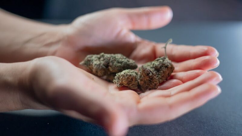 Наркотики в порошке свойства и параметры наркотических средств