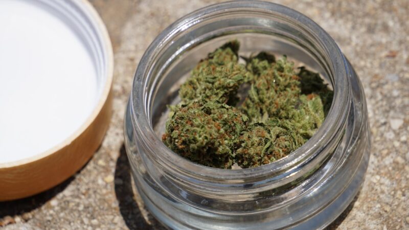 Семена конопли в Новокузнецке: свойства и применение