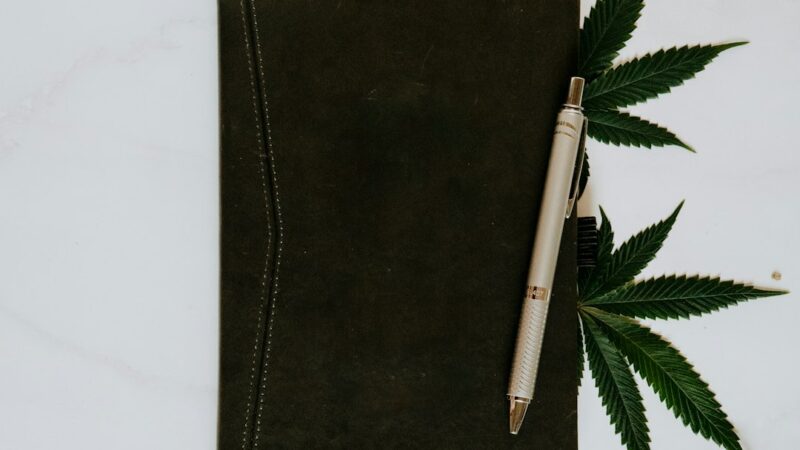 Характеристика и преимущества сорта Auto Daiquiri Lime