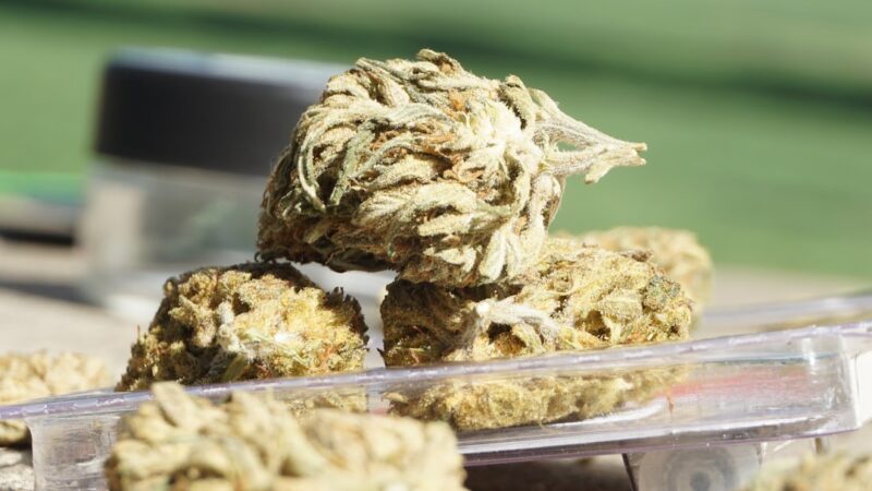 Купить гашиш в Москве и СПб