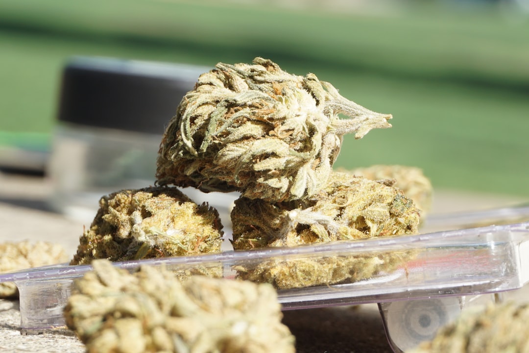 Купить гашиш в Москве и СПб