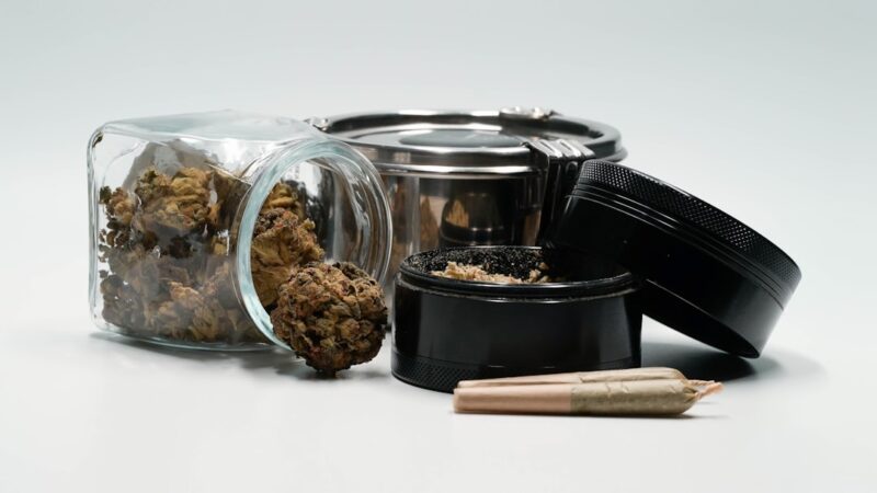 Провоз Семян Конопли Обзор Законодательства и Правил