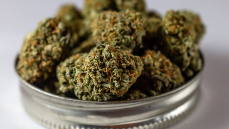 Выращивание Марихуаны из Семян Пошаговое Руководство