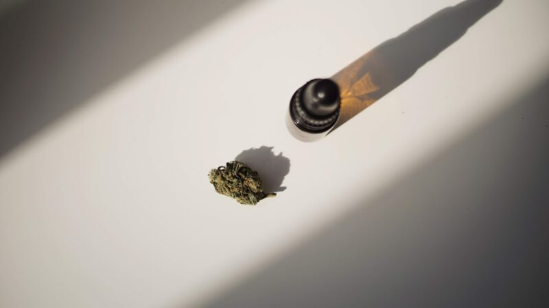 Семя конопли как эффективная прикормка для рыбы