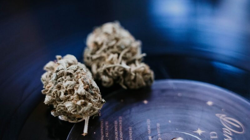 Анаша свойства и параметры в Москве