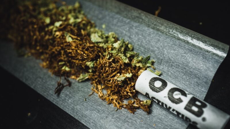 Семена конопли Green Poison F1 Fast Version от Sweet Seeds