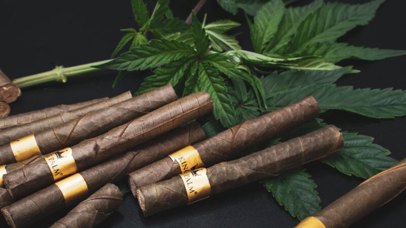 Конопляное Семя Свойства Применение и Где Купить Семена Конопли