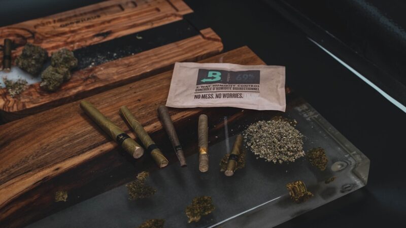 Особенности сорта Auto Ramses и преимущества феминизированных семян конопли Pyramid Seeds