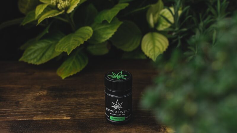 Гибридные сорта конопли свойства и преимущества