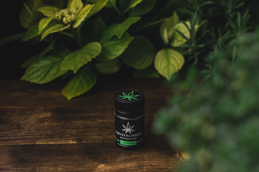 Гибридные сорта конопли свойства и преимущества