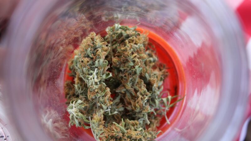 Покупка конопли и ее правовой статус