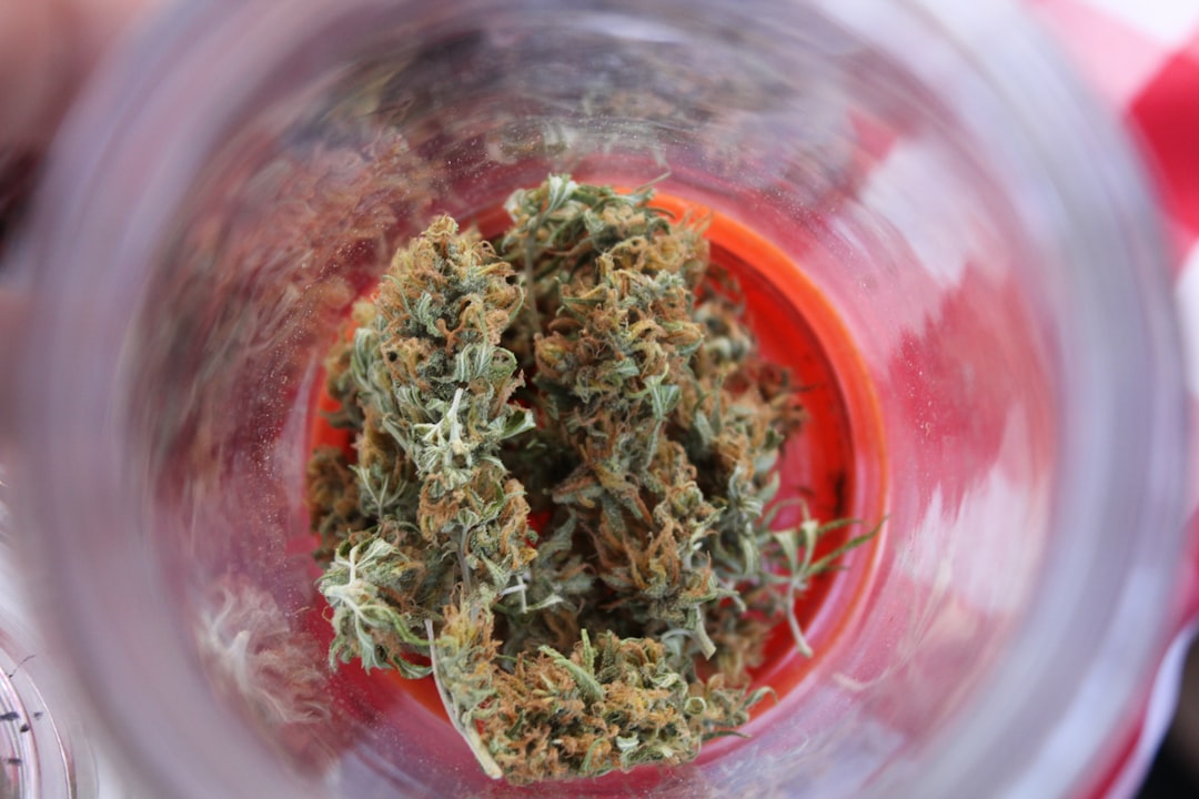 Покупка конопли и ее правовой статус