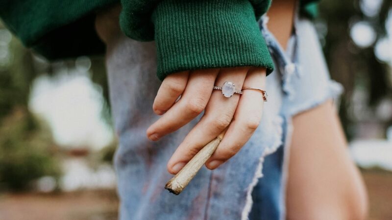 Семена конопли в корме для птиц