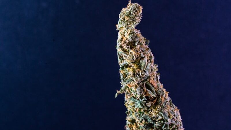 Купить гашиш в Красноярске