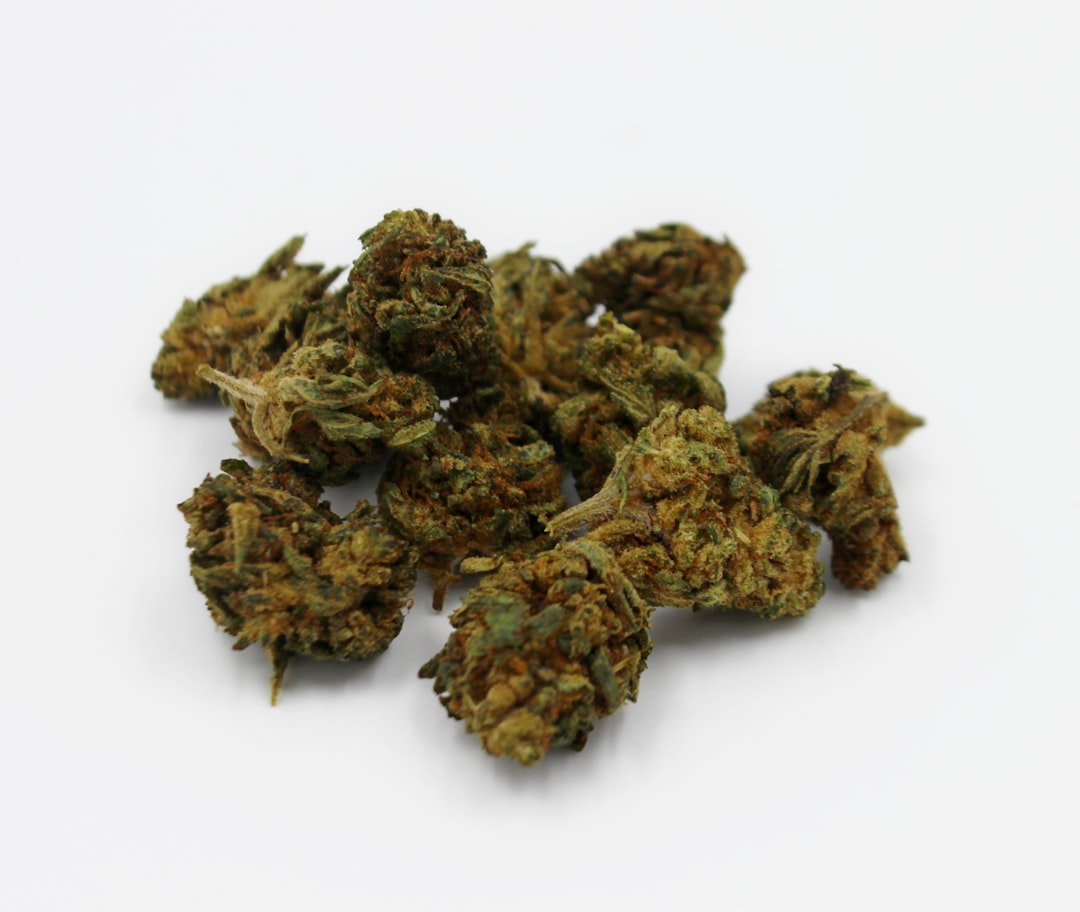 Элитные семена конопли для выращивания