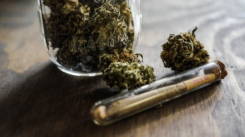 Семена конопли Афганки описание и преимущества сорта