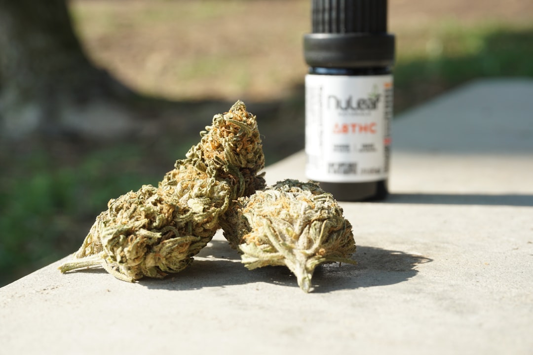 Свойства и применение семян конопли