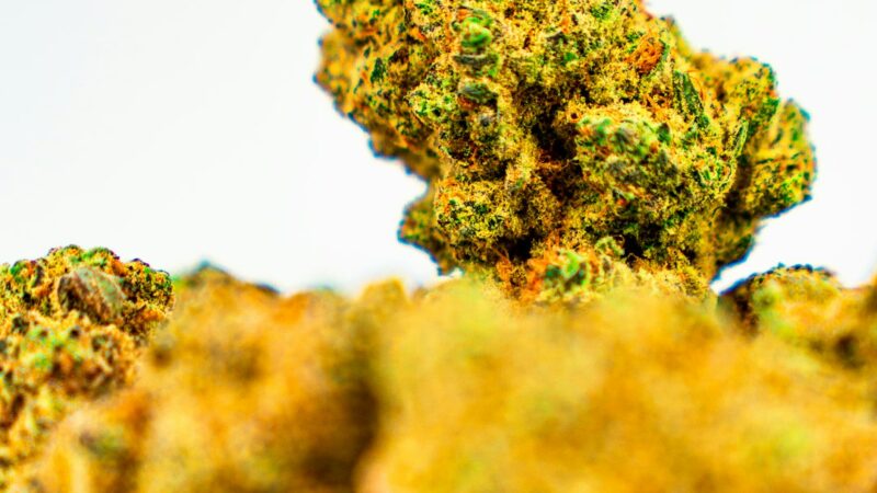 Купить марихуану в Москве