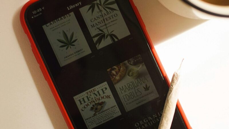 Купить гашиш в Санкт-Петербурге